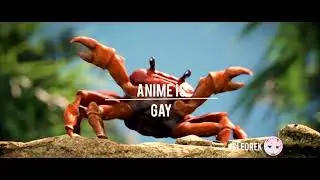 anime is gay!
