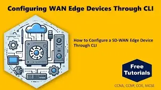 Configuring WAN Edge Devices Through CLI