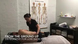 Osteopathy for Low Back Pain