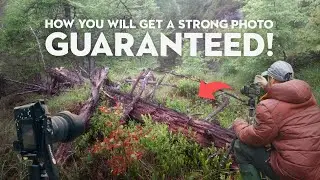 STRONG PHOTO Guaranteed! This is How!