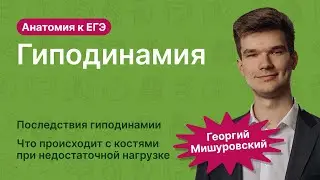 6.115. Гиподинамия | Анатомия к ЕГЭ | Георгий Мишуровский