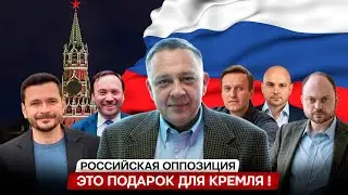 Степан Демура про российскую оппозицию: Это просто подарок для Путина! (19.08.2024)