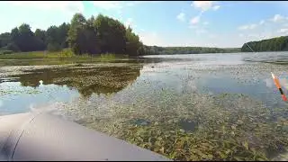 Дневная рыбалка