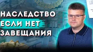 Кто получит наследство если нет завещания. Как вступить в наследство