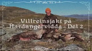 Villreinsjakt på Hardangervidda Del 2 - Bernt gjør ting han ikke kan Ep32