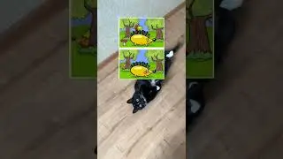 ПОПРОБУЙ НАЙТИ 5 ОТЛИЧИЙ!😳