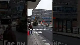 Посмотри как перевозят деревья в Нидерландах 🌳🚜 #нидерланды #европа