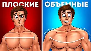 7 УПРАЖНЕНИЙ ДЛЯ КРУГЛЫХ ПЛЕЧ!