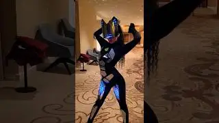 Элис Шоу Кошки (светодиодное шоу)