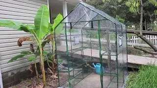 Abba Mini Greenhouse -- Perfect for small plants