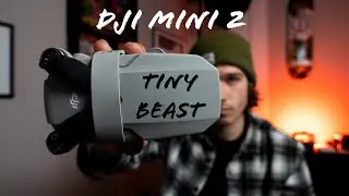 DJI Mini 2 | Tiny Beast