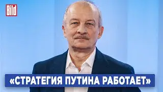 Сергей Алексашенко о конфискации имущества, ошибках властей с Надеждиным и выборах в США