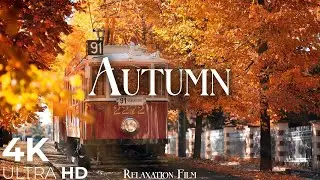 Autumn 4K • Scenic Relaxation Film with Peaceful Relaxing Music and Nature Video Ultra HD