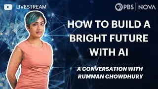 How To Build A Bright Future With AI: A Conversation with Dr. Rumman Chowdhury | NOVA | PBS