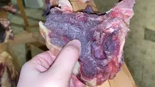Сушить мясо. Засушить мясо. Лучший способ засушить мясо. Легкий способ сушить мясо