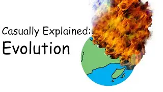 Casually Explained: Evolution