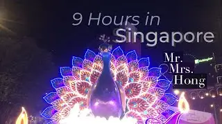 Singapore STOPOVER – is 9 hours enough? (Little India & Geylang, Singapore) | Mr. and Mrs. Hong