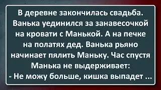 Первая Брачная Ночь на Деревенской Свадьбе! Сборник Анекдотов Синего Предела №182