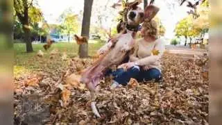 Dog hilariously photobombs couple’s engagement shoot