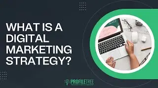 What is a Digital Marketing Strategy? | What's Included? | The Difference Between Plan & Strategy