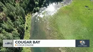 Air4 Adventure: Cougar bay