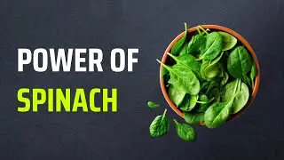 15 Reasons Why Spinach Is Called A Superfood | Health Benefits Of Spinach