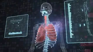 4K Animation | Infographic | Hand | Skeleton | Lungs | Free Stock Video Footage