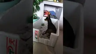 Злюка