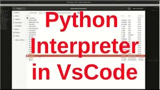 Selecting the correct python interpreter in VSCode