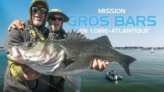 Catch big summer sea bass on soft lures!