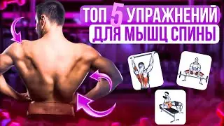 Топ 5 Упражнений Для Широчайших Мышц Спины