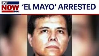 Mexicos Sinaloa cartel leader El Mayo arrested in US | LiveNOW from FOX