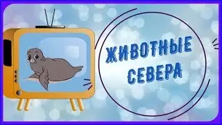 Учим ЖИВОТНЫЕ СЕВЕРА с детьми. Тест - Игра Угадай Животных Севера Звуки и Голоса Животных Севера