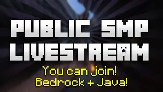 Public Minecraft SMP with Viewers! Java and Bedrock!