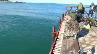 Рыбалка в Анапе 2022 пирс Центральный пляж морская рыбалка на Кефаль