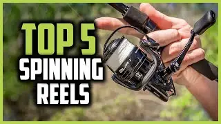 Top 5 Best Spinning Reels in 2024 Reviews