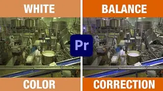 How to White Balance in Premiere Pro - Quick Color Correction tutorial