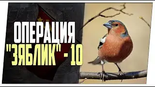 Операция 
