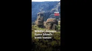 WATCH: Wildfire damages Easter Island’s iconic statues | #shorts