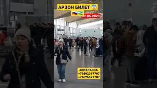 02.05.2023 ПРОВЕРКА ДАКУМЕНТ😱🤦‍♂️АЭРОПОРТ ПУЛКОВО САНКТ-ПЕТЕРБУРГ 