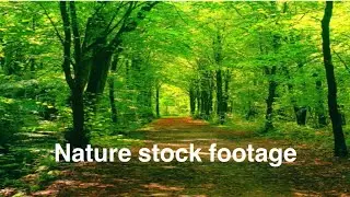 Beautiful nature-making video using stock footage from pixabay #copyrightfreemusic