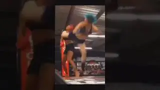 Jump revers hook kick 🎥 