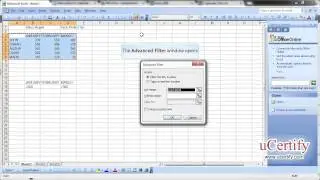 Apply Auto Filter And Advanced Filter