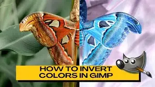 How to Invert Colors of an Image Using GIMP (4 Easy Methods)