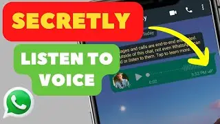 How to Listen to WhatsApp Voice Message Without Sender Knowing