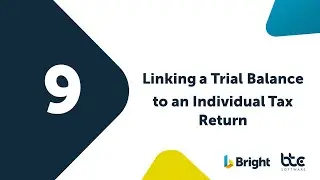 9 - Linking a Trial Balance to an Individual Tax Return