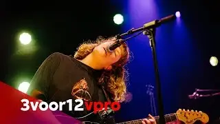 Pip Blom - Live at Song van het Jaar 2018