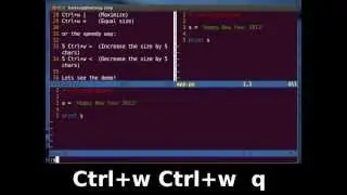 Vim Tutorial - How to Resize Splits Screen