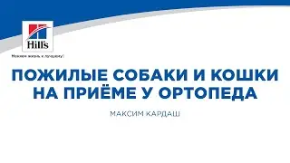 Вебинар на тему: “Пожилые собаки и кошки на приеме у ортопеда”. Лектор - Максим Кардаш.