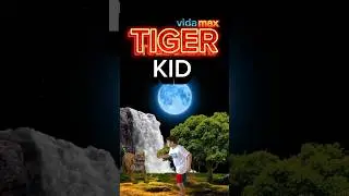 Kid versus Tiger | Transformer